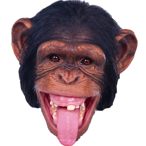Monkey PNG-18744